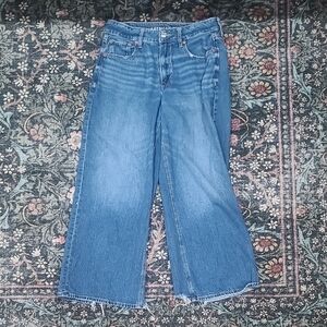American Eagle Outfitters Baggy Wide Leg Ankle Jeans